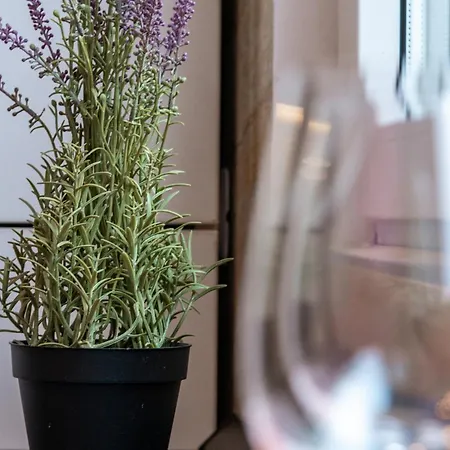 Apartment 921 Bucharest