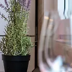 Apartmán 921 Bukurešť